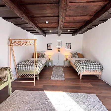 Dandelion Vintage Nemesgulács