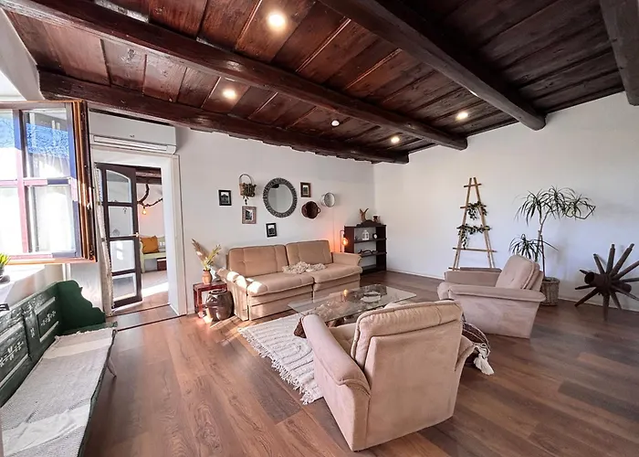 Vakantiehuis Dandelion Vintage