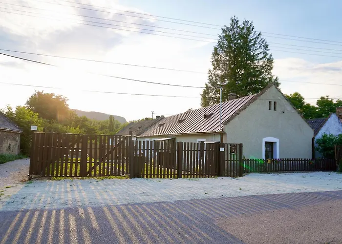 Dandelion Vintage Nemesgulács