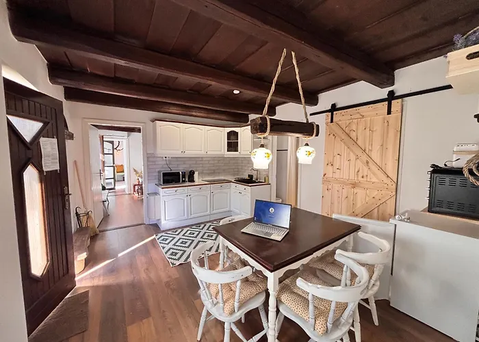 Dandelion Vintage Nemesgulács