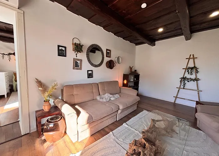 Dandelion Vintage * Nemesgulács