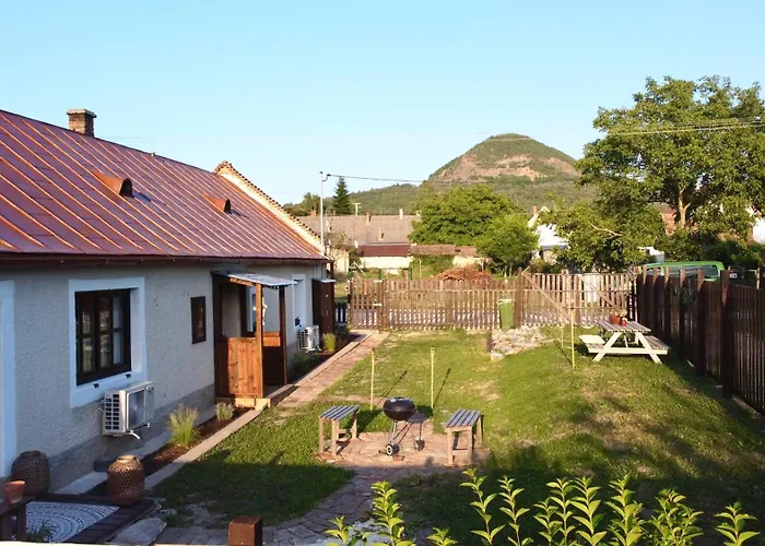 Dandelion Vintage Nemesgulács